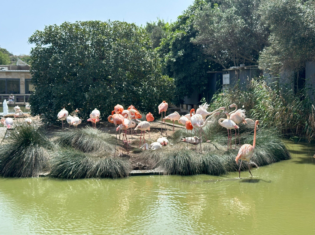 Birdpark Malta-Salina必去景点