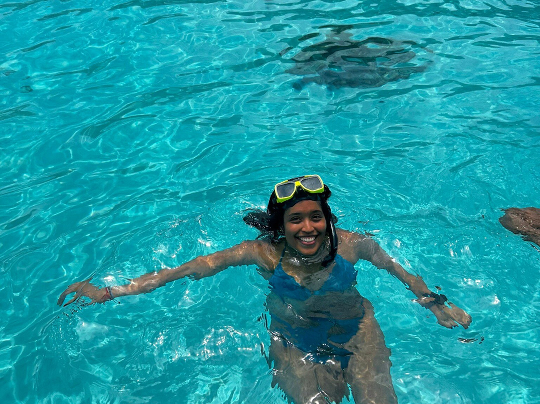 Rumba Tours Curaçao-威廉斯塔德必去景点