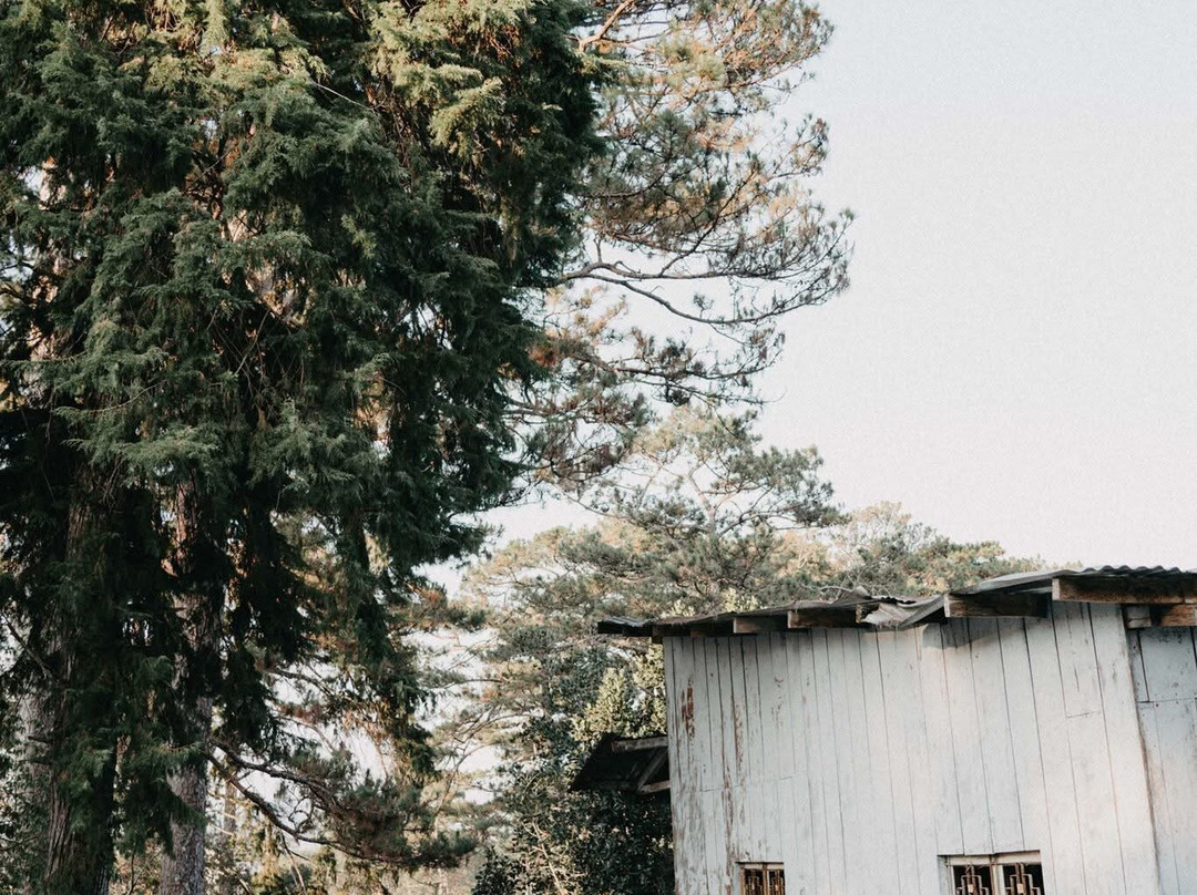 Tuyen Lam Lake-大勒必去景点