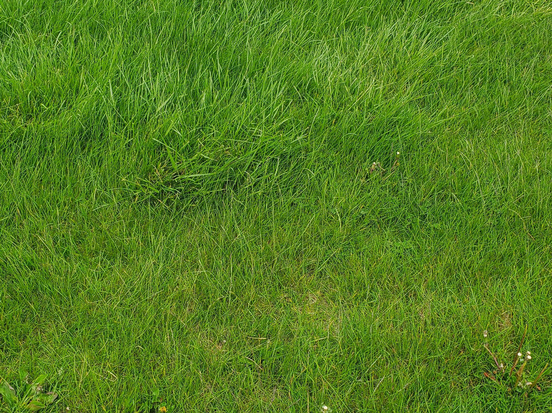 Maumee Bay State Park Golf Course-Oregon必去景点