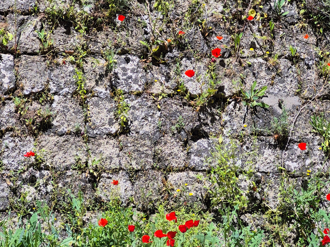 The Medieval Moat-罗德城必去景点