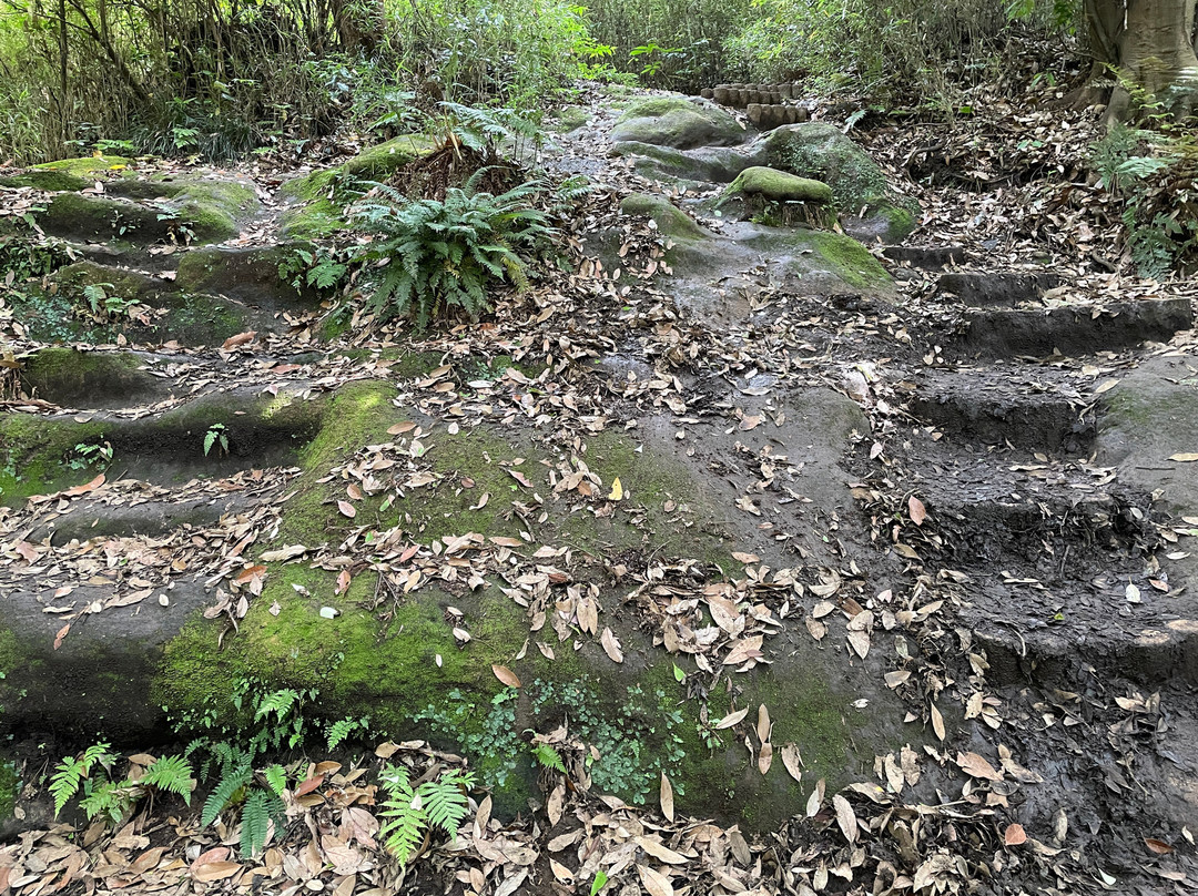 天园徒步线路-镰仓市必去景点
