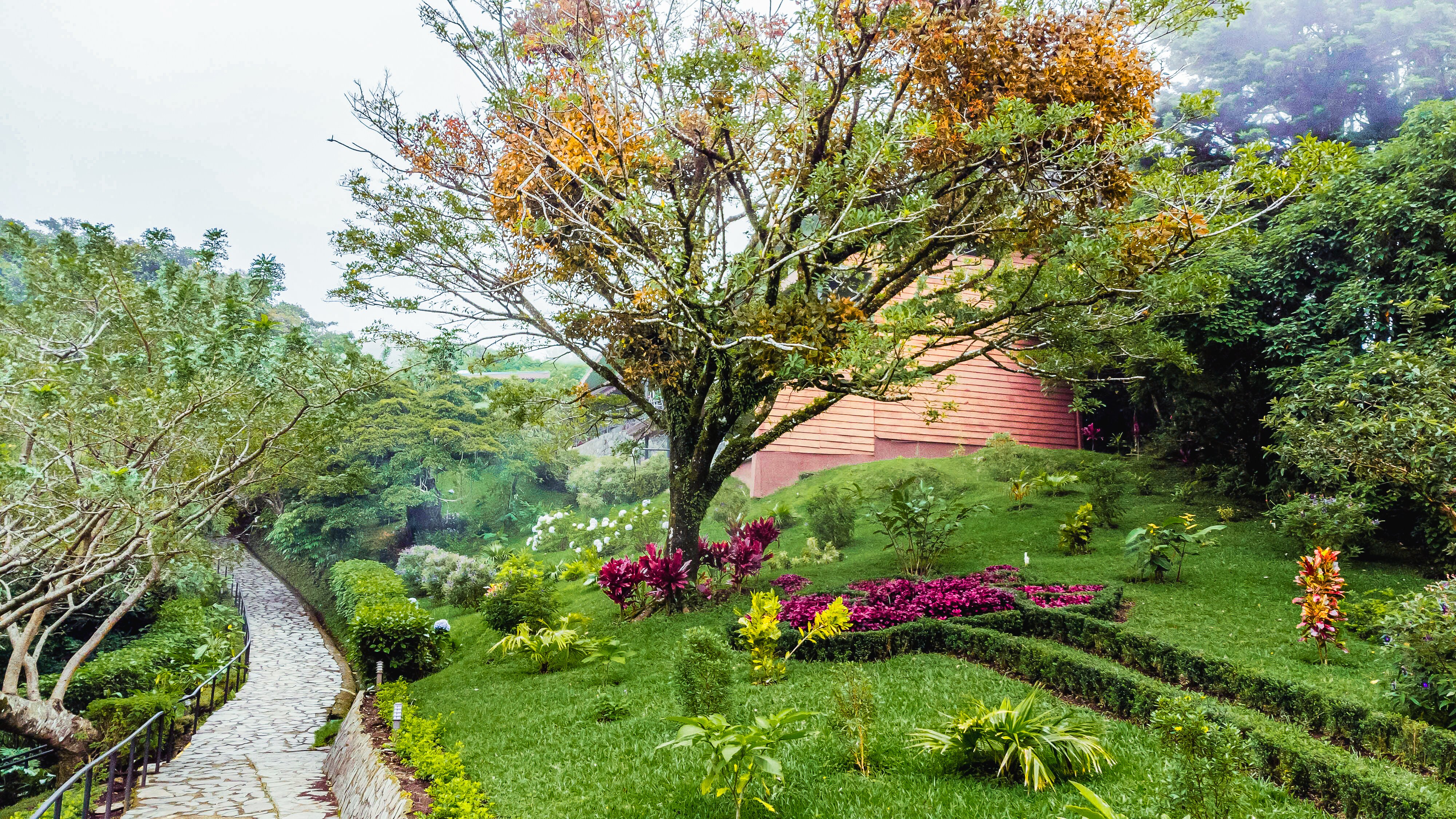 Hotel Heliconia-浴室