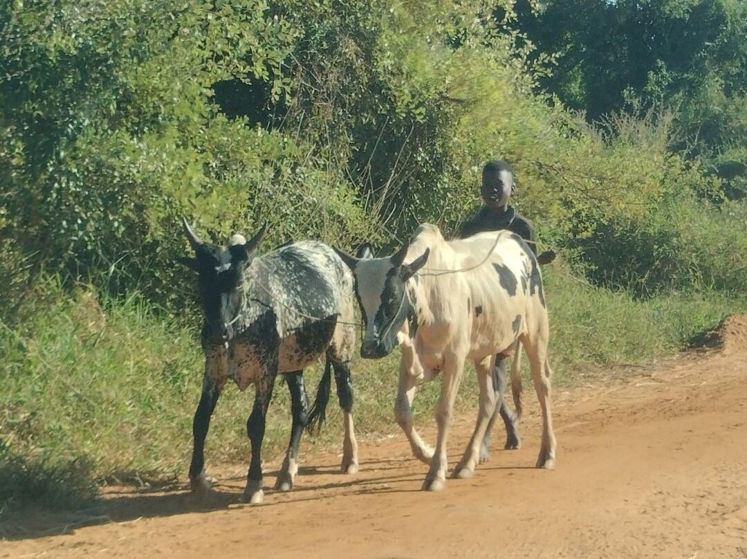 Madagascar Touring景点图片