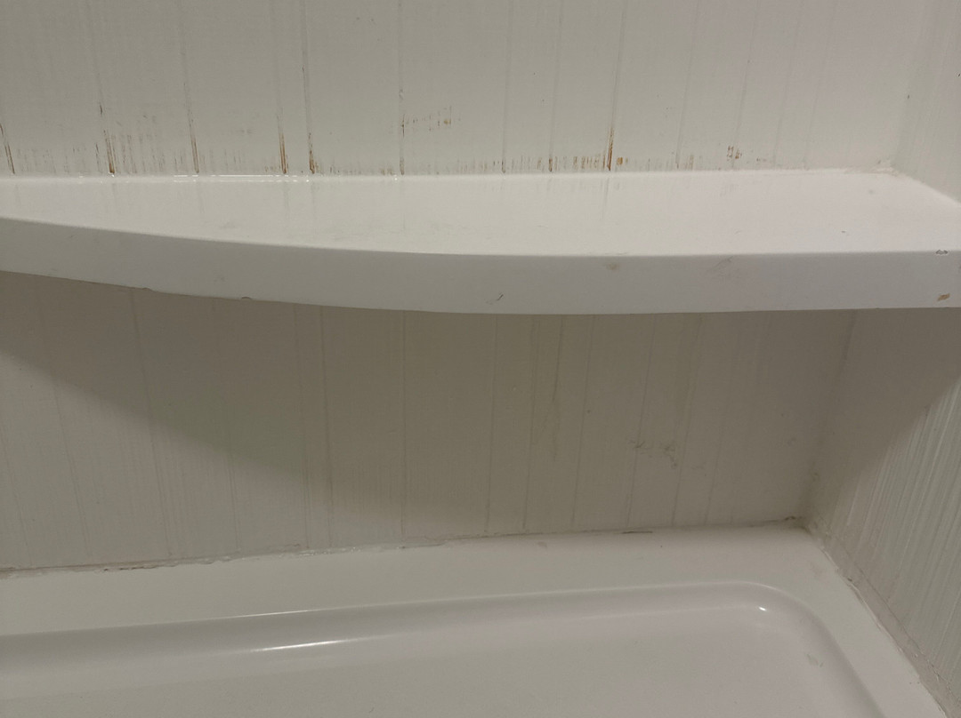 Courtyard by Marriott Albany主图