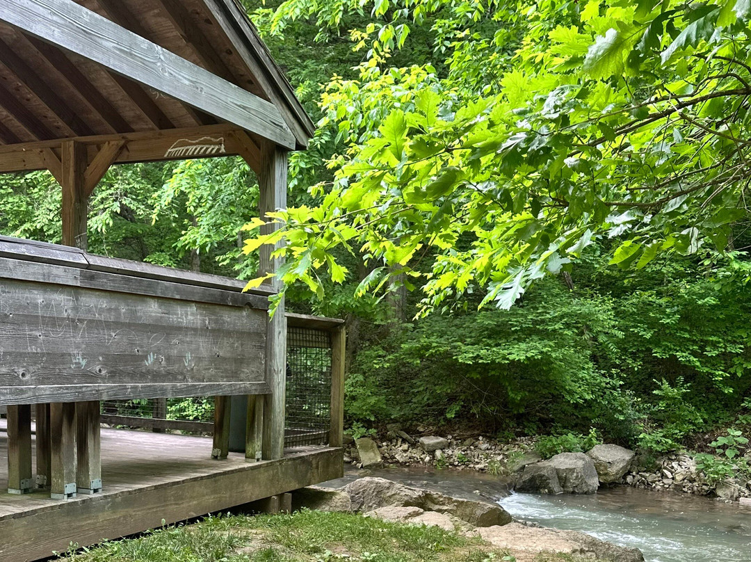 Cove Springs Park-法兰克福必去景点