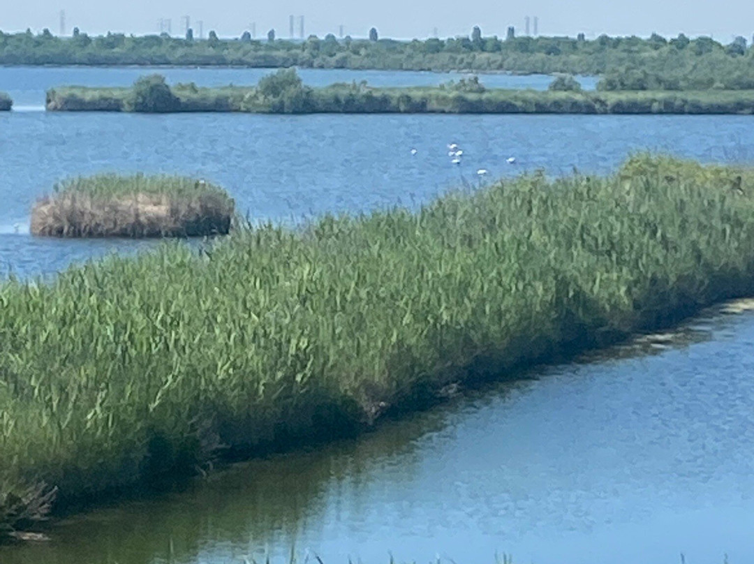 Parco Delta Del Po-科马基奥必去景点