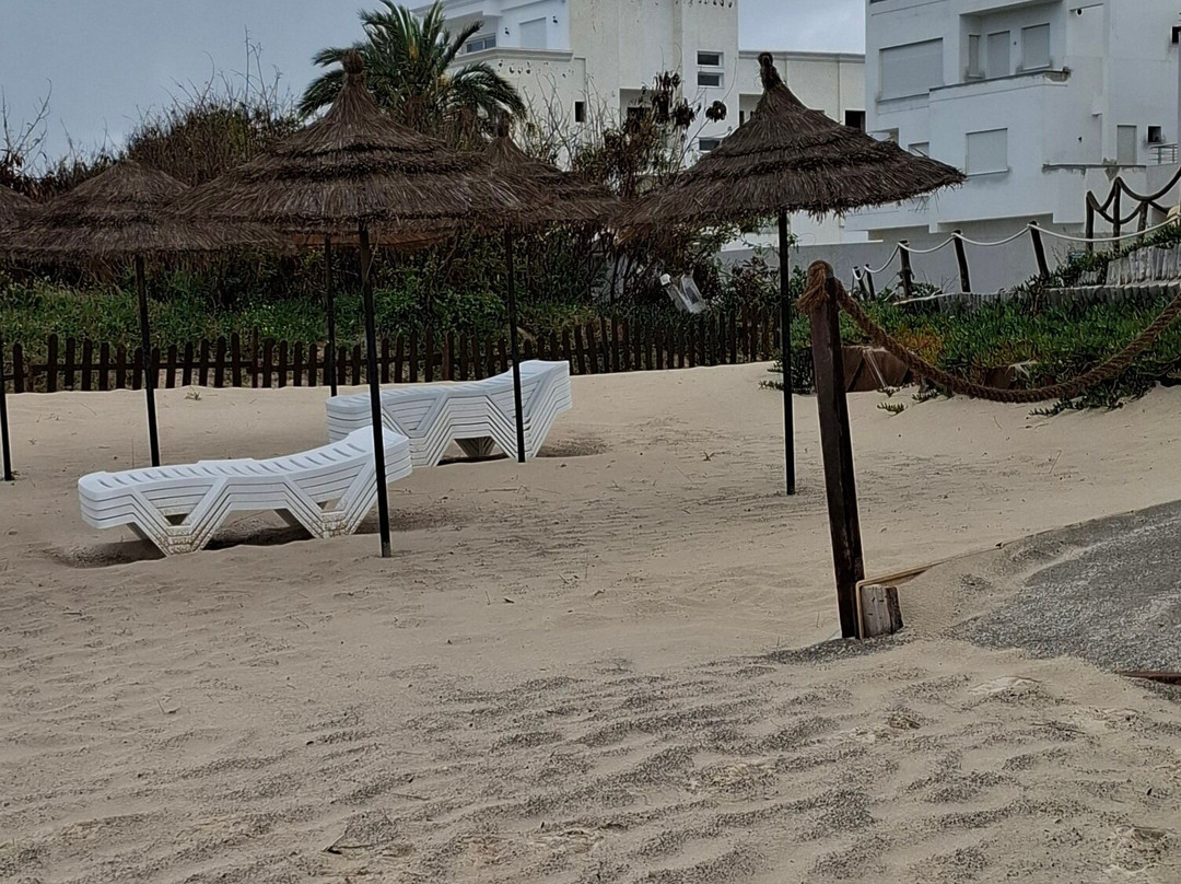 Port El Kantaoui Beach-康大维港必去景点