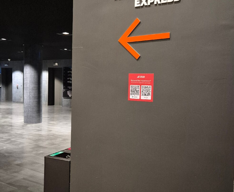 Volcano Express Iceland-雷克雅未克必去景点