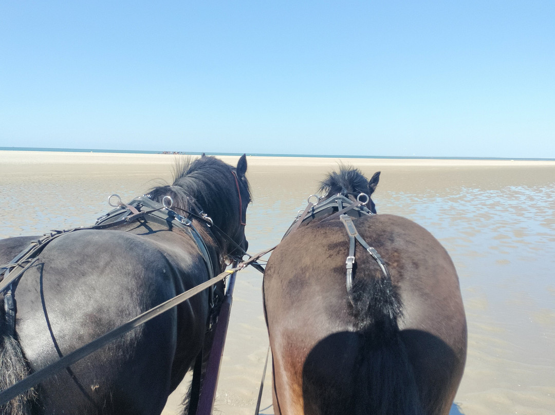 Carriage Outings-Le Crotoy必去景点