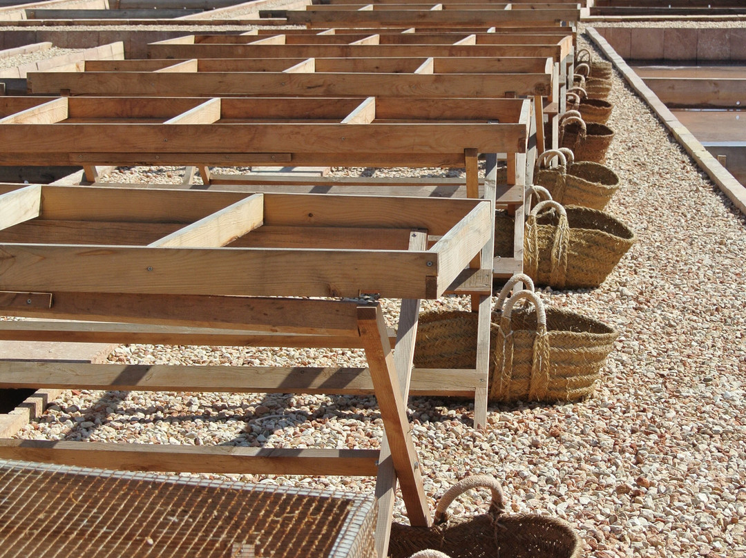 Sal de Menorca - Salinas de La Concepción-Mercadal必去景点