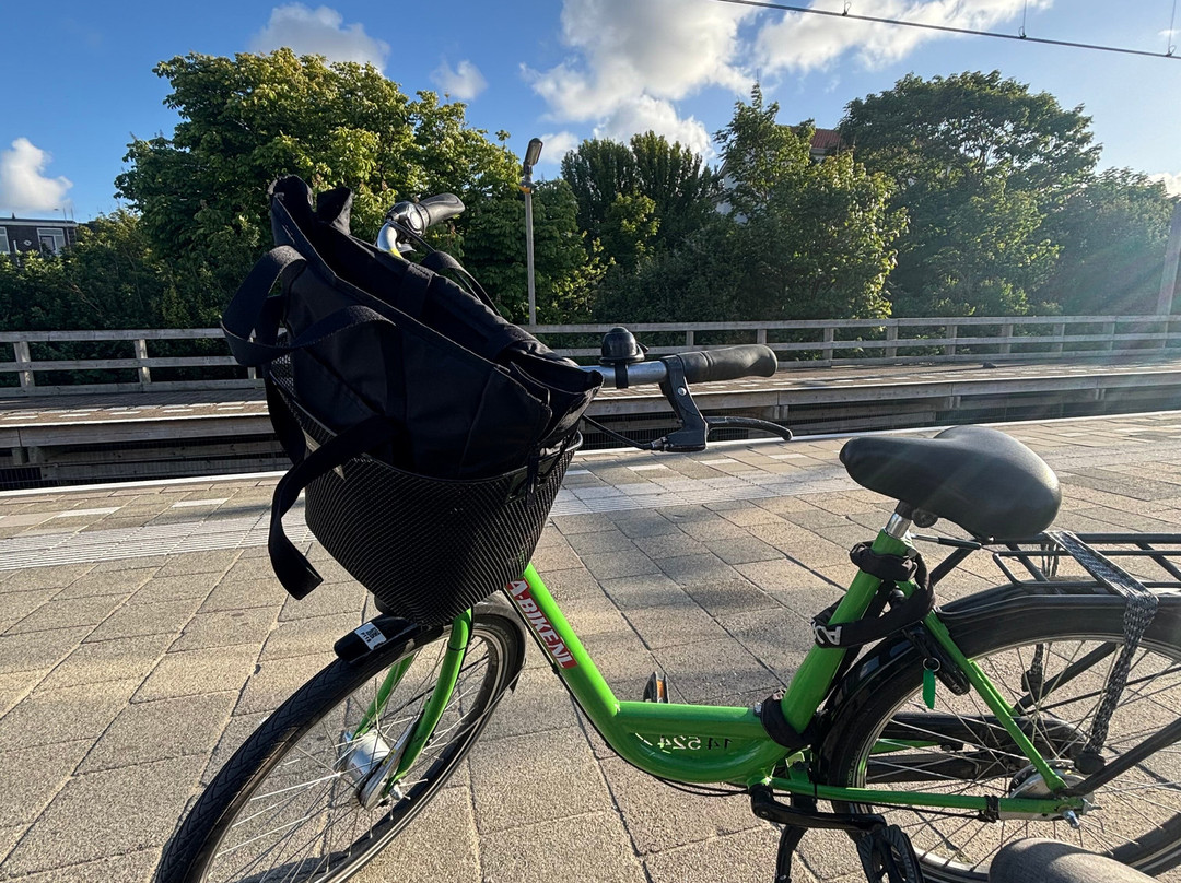 Discount Bike Rental-阿姆斯特丹必去景点