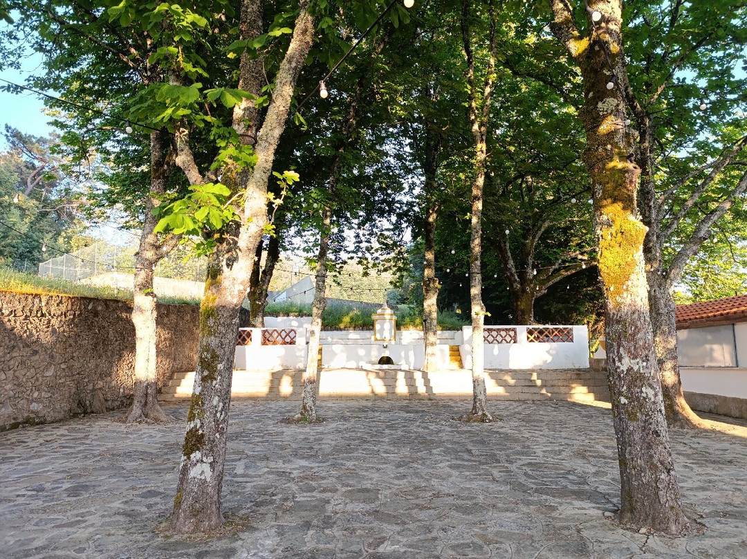 O Martinho Quinta Da Saúde