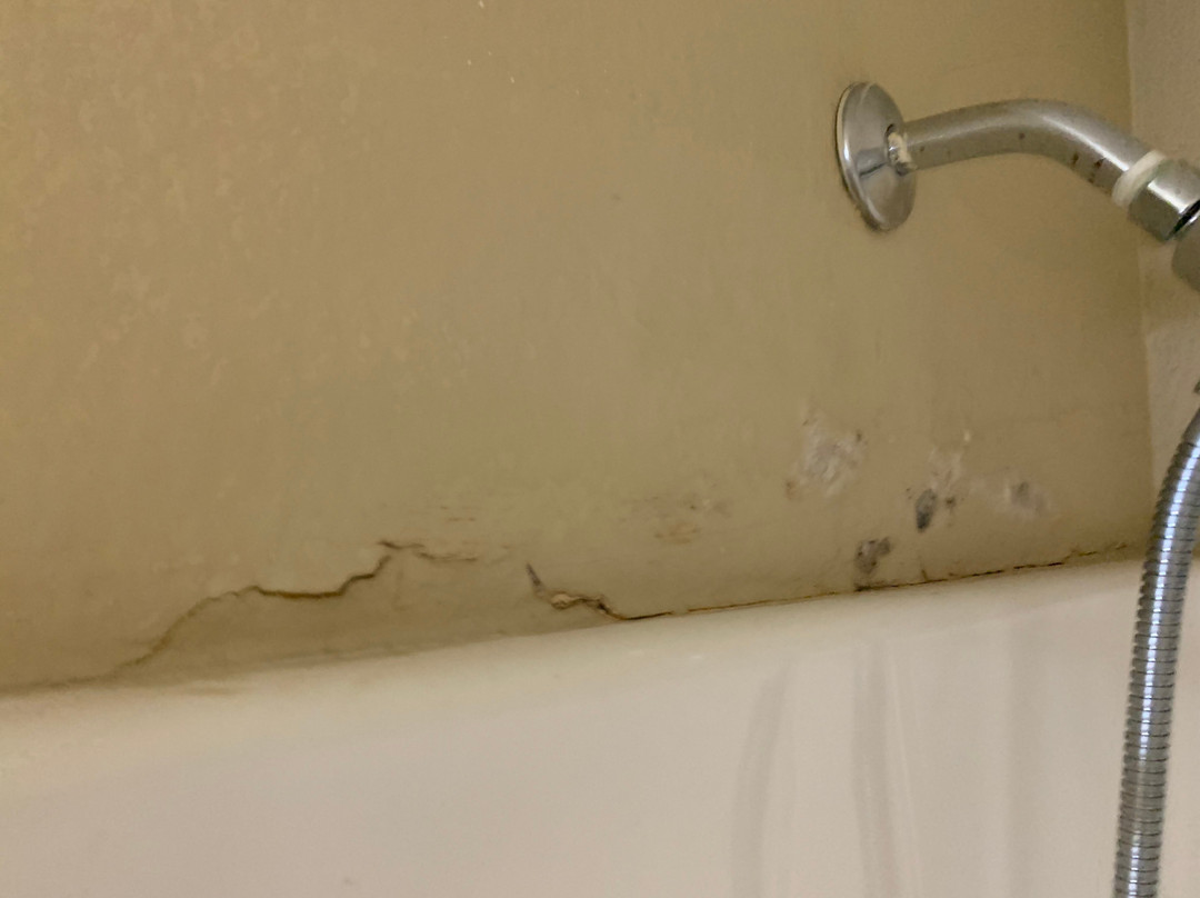 Comfort Inn & Suites Rome South主图