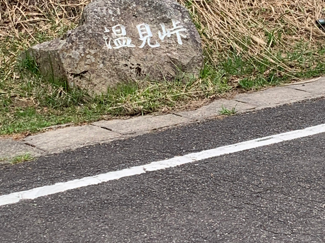 Nukumitoge Pass景点图片