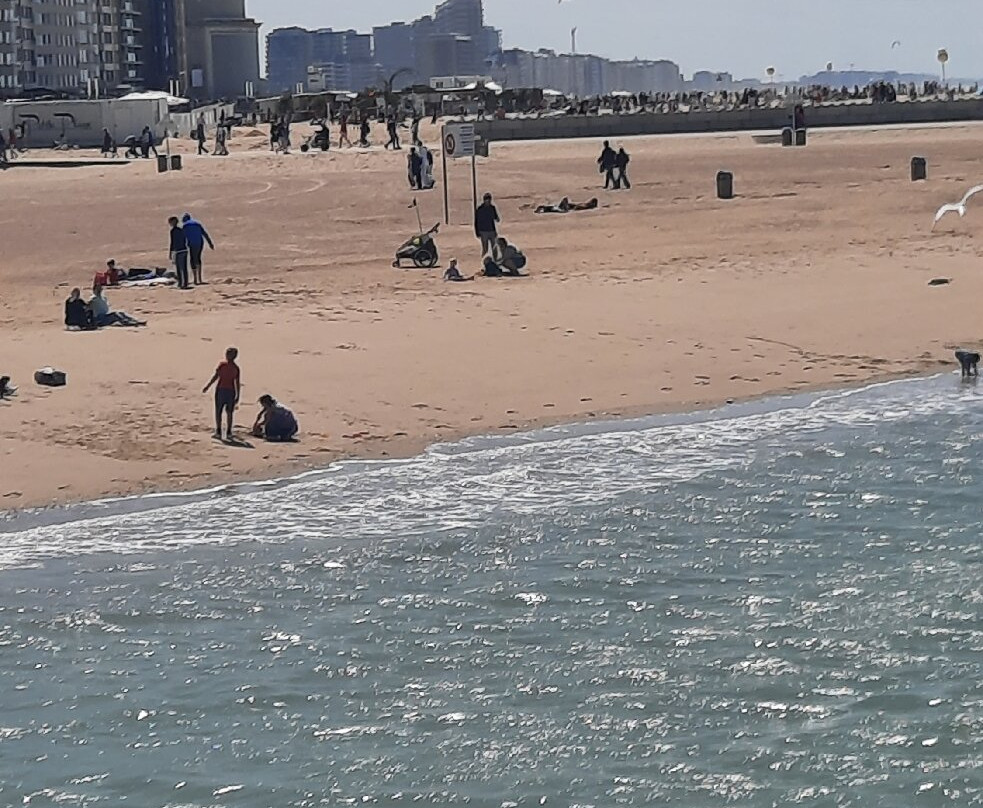 Plage d'Ostende-奥斯坦德必去景点