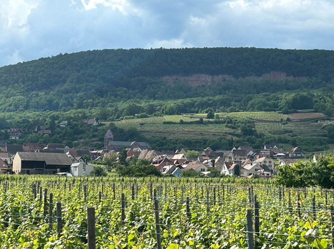 Domaine GUETH景点图片