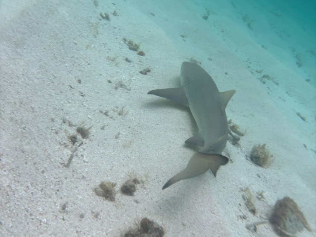 Sademar-Saint Francois必去景点