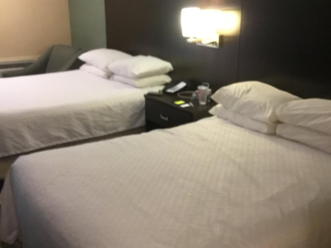 皇家橡树贝斯特韦斯特酒店主图