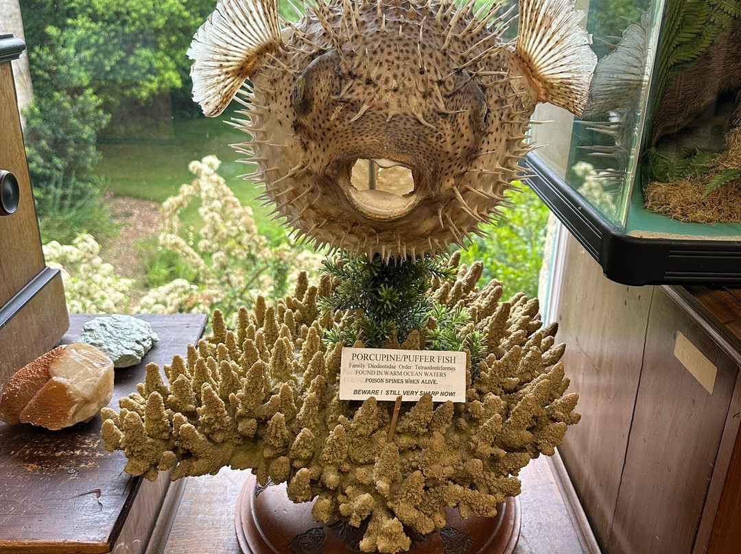 Bournemouth Natural Science Society-伯恩茅斯必去景点