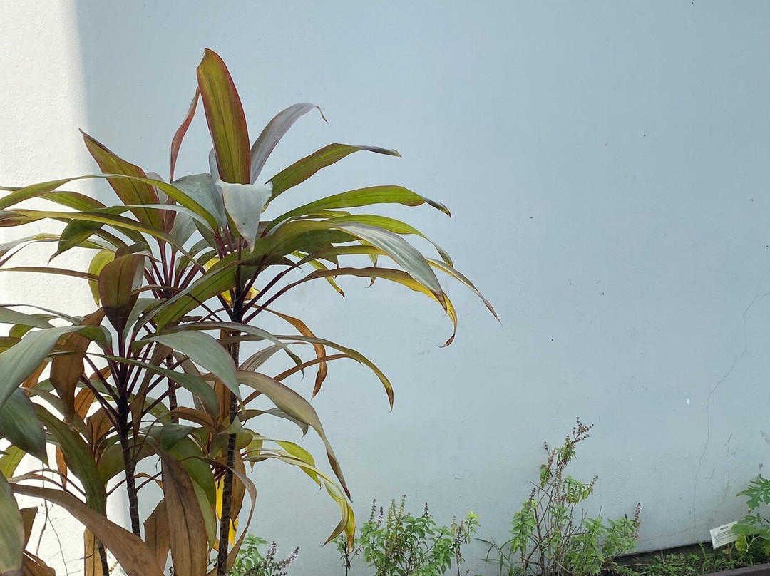 One Puerto Vallarta Aeropuerto主图