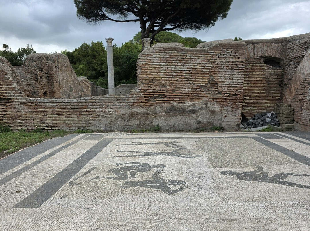 Terme di Nettuno