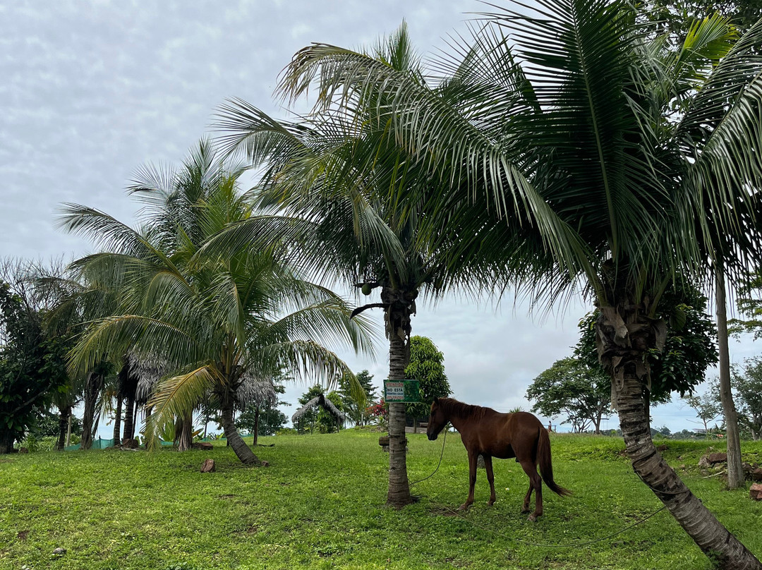 Finca Ecológica Alegria-Lamas必去景点