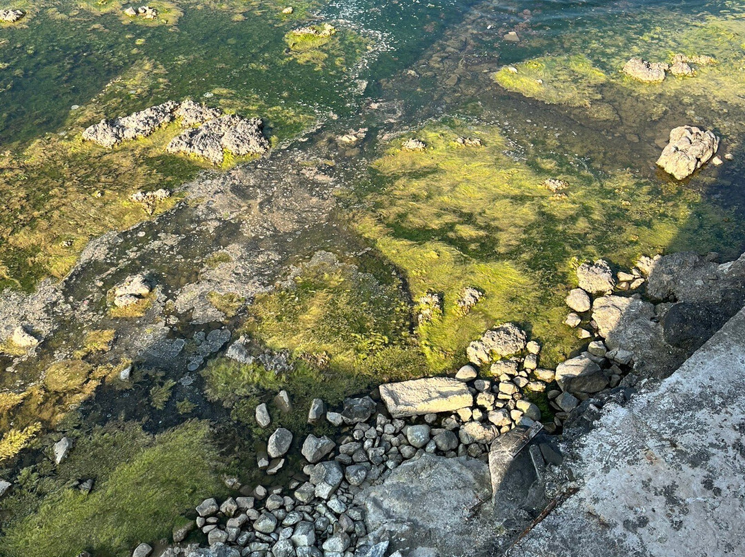 La Quinta By Wyndham Giresun主图