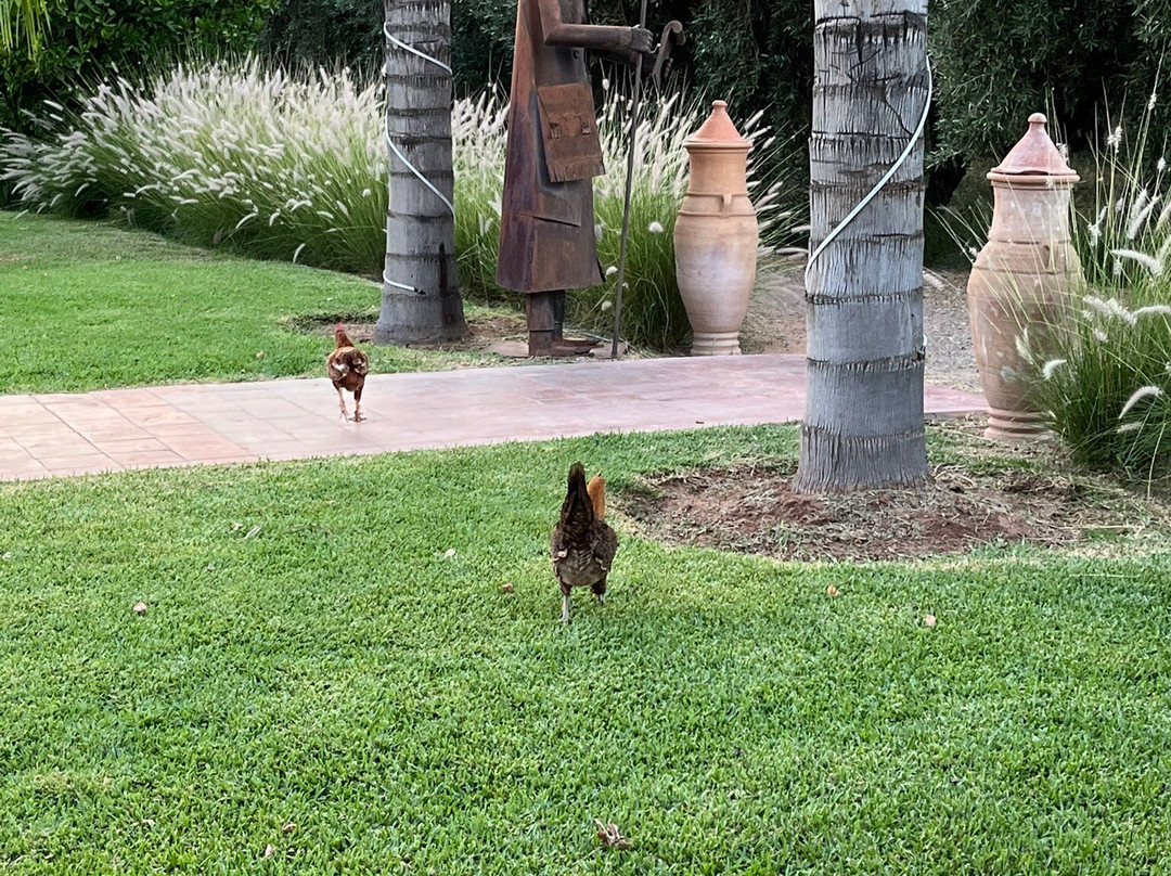 Les Perles de Zaraba主图