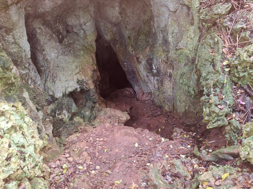 Tom Moore's Jungle-Hamilton Parish必去景点