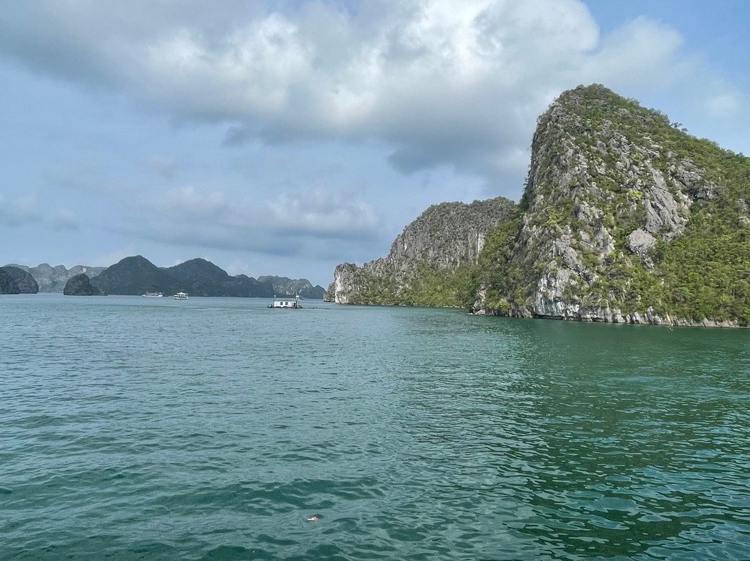 Orchid Cruises-下龙湾必去景点