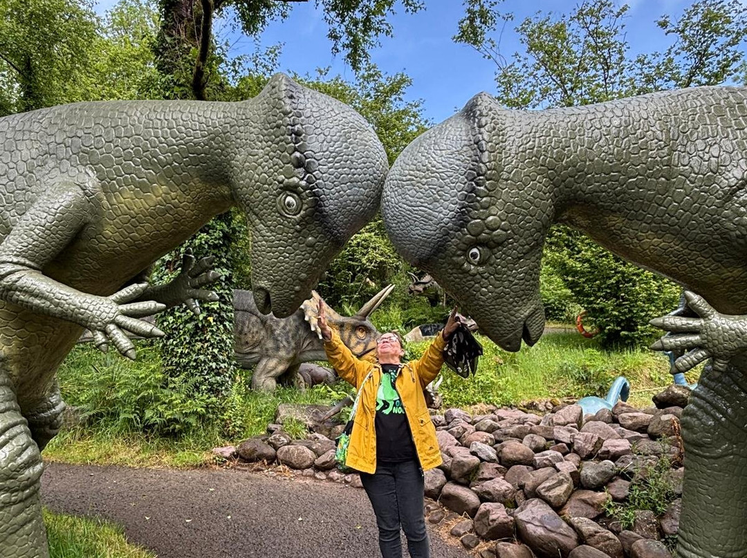 The National Showcaves Centre for Wales景点图片