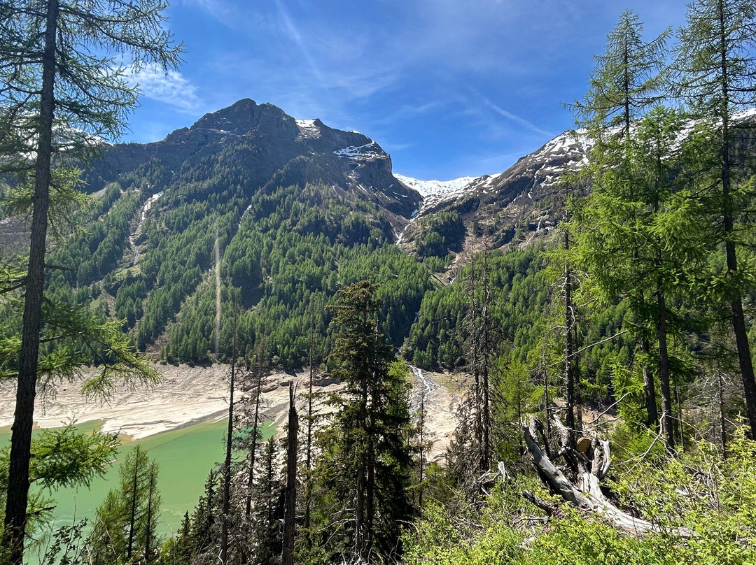 Lago di Pian Palù景点图片