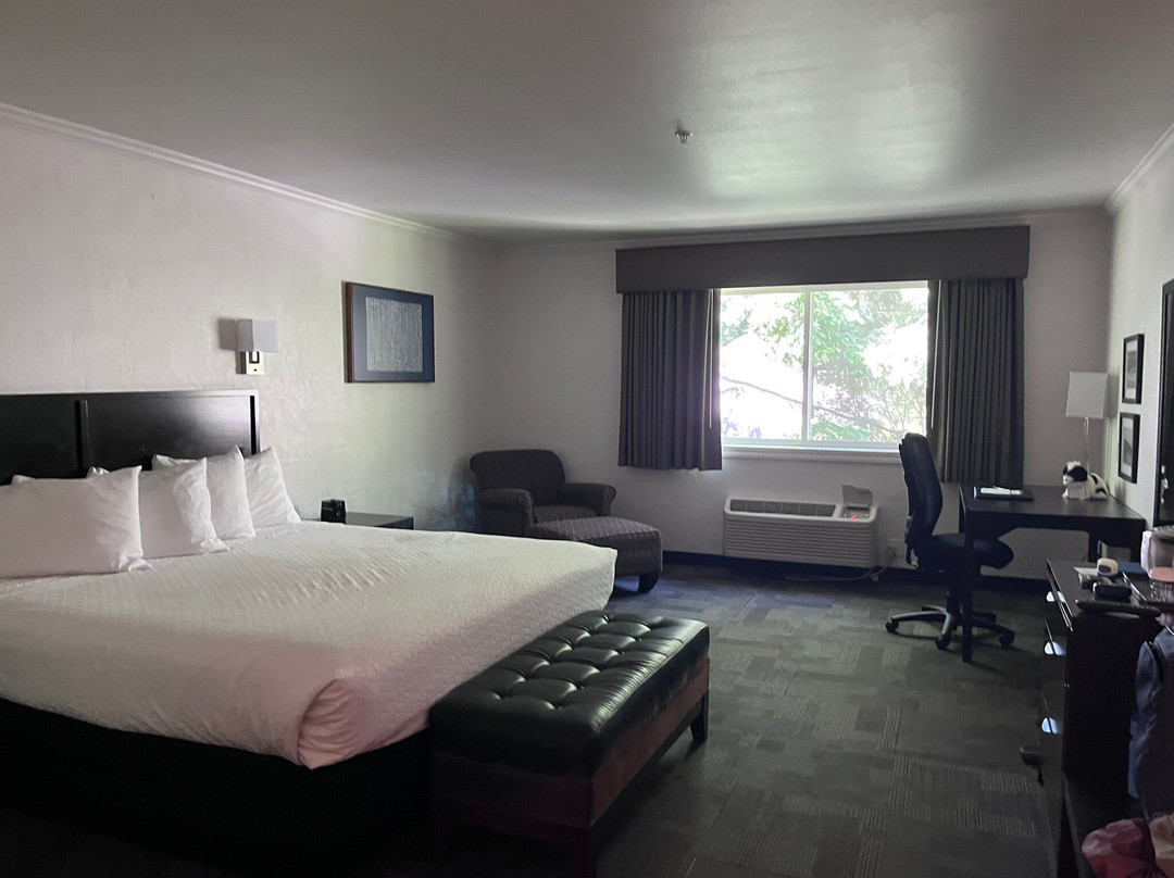 Best Western Wesley Inn & Suites主图