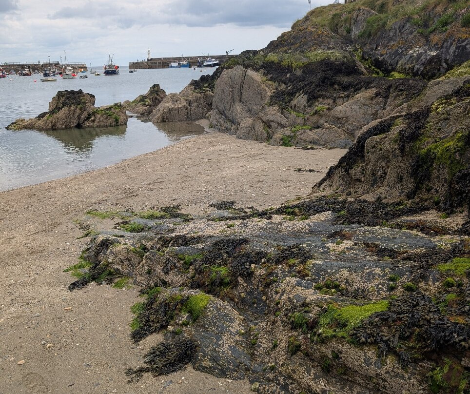 Mevagissey Harbour Wall-梅瓦吉西必去景点