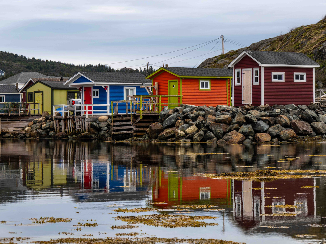 Newfoundland Photo Tours-圣约翰必去景点