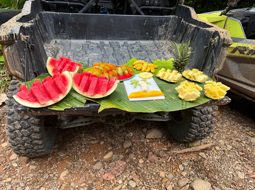 Jungle ATV Quad Tours景点图片