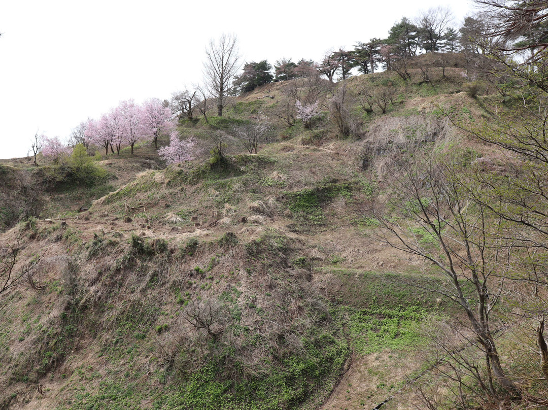 Kasugayama Castle Ruins-上越市必去景点