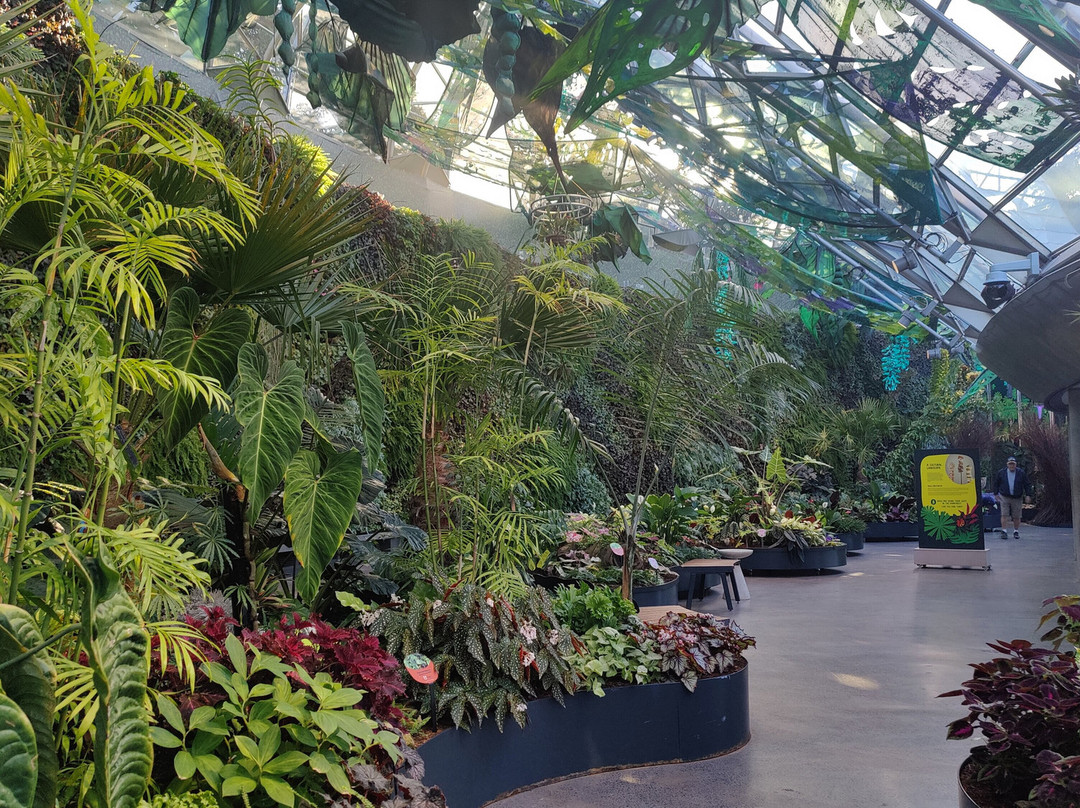 The Calyx-悉尼必去景点