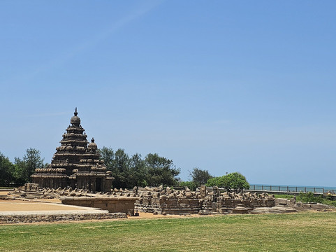 Reemka Travels India