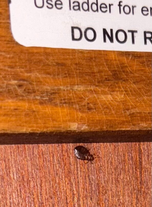 Baymont by Wyndham Chelsea主图