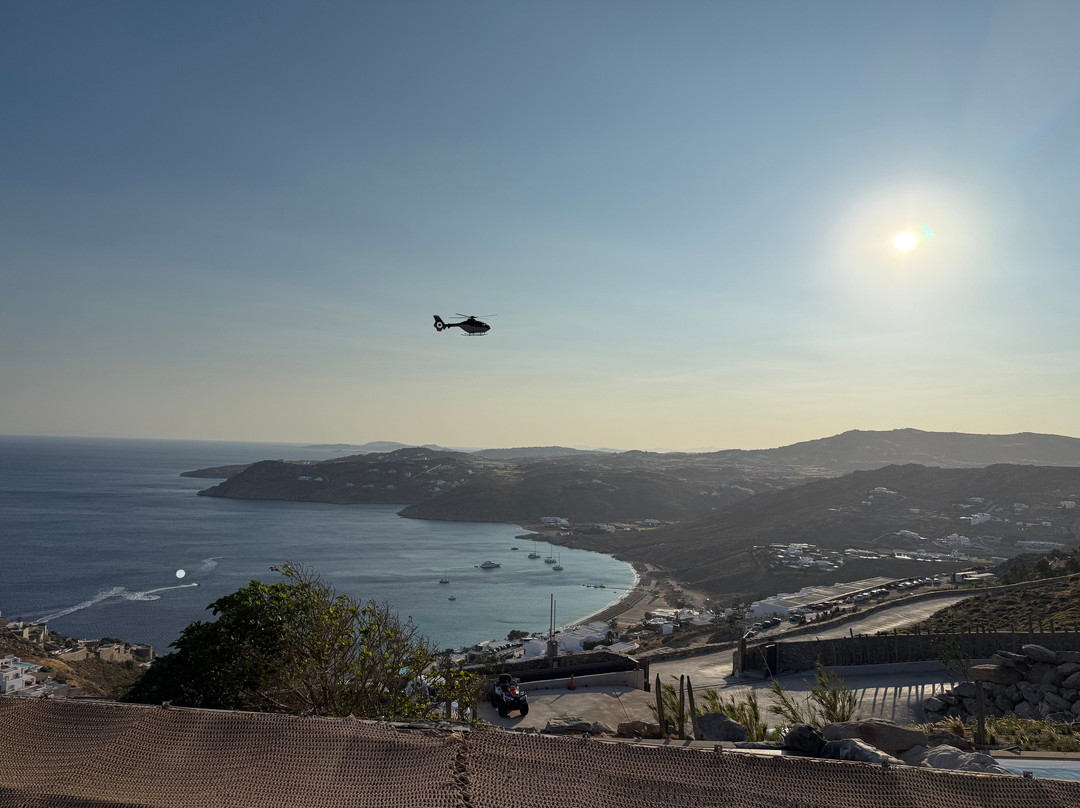 Panoptis Escape主图