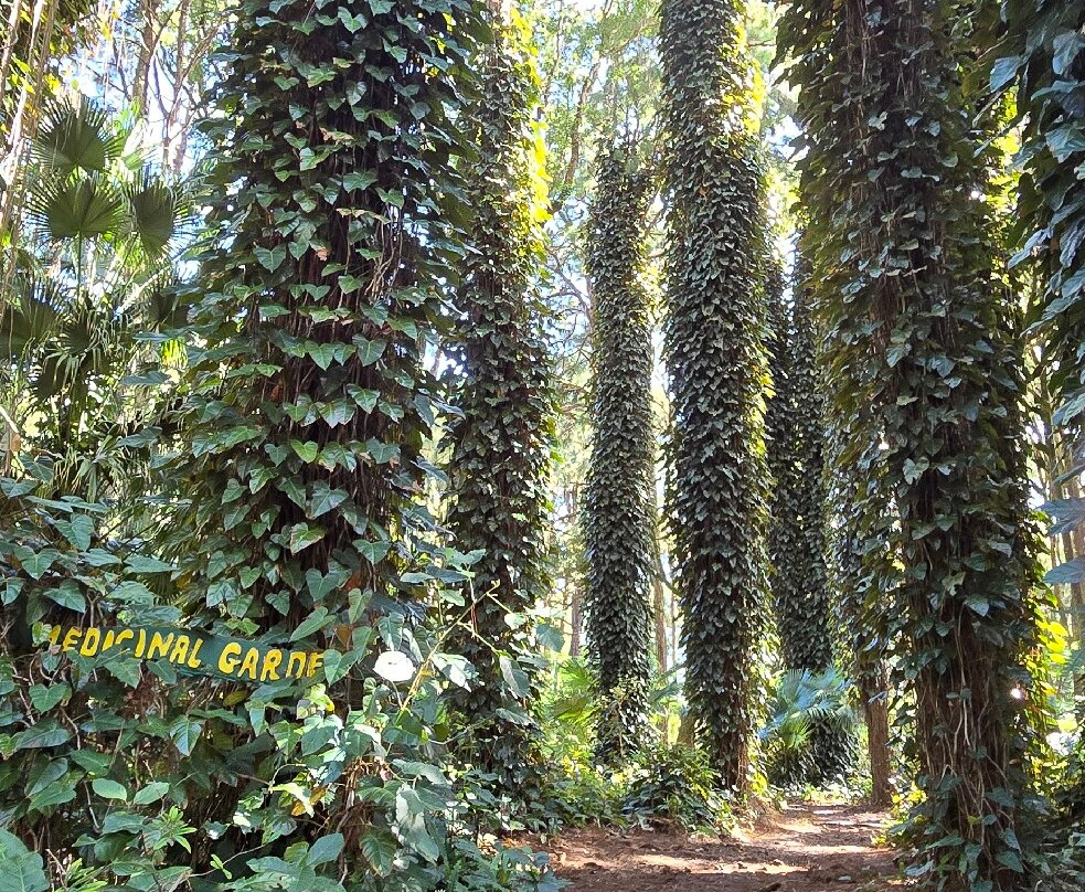 Sophie Nature Walk-Vacoas必去景点