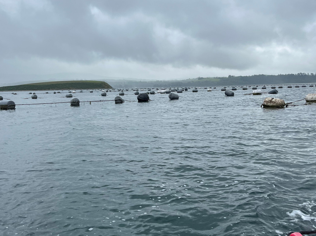 Bantry Bay Boat Hire-Bantry必去景点