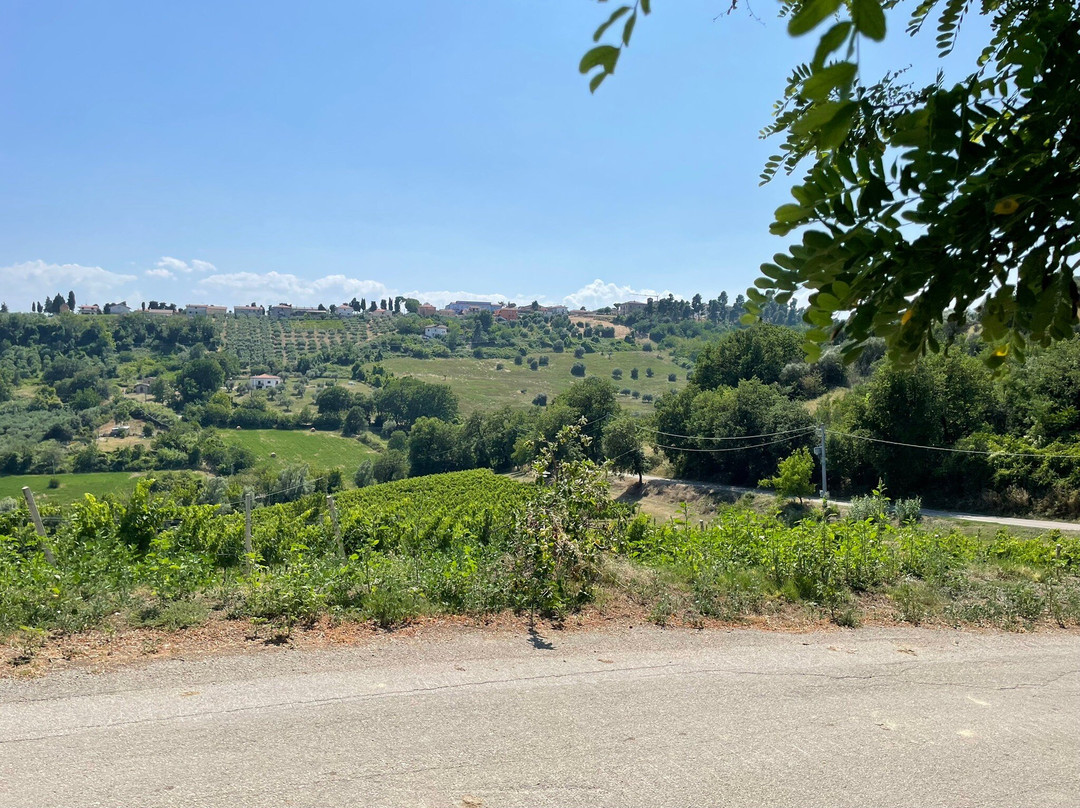 Vini La Quercia