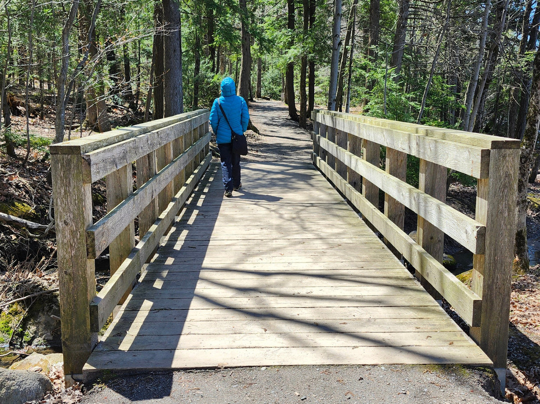 Lake St. Augustin Waterfront Park-St Augustin de Desmaures必去景点