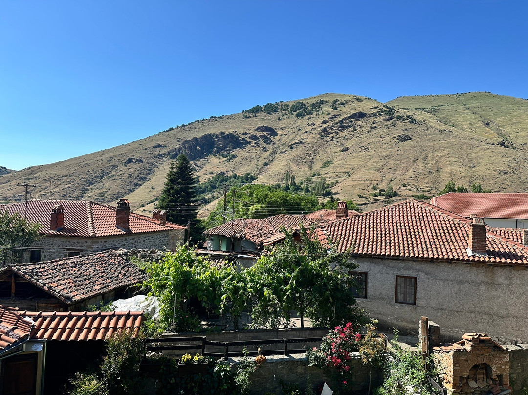 Agios Germanos Traditional Hotel主图