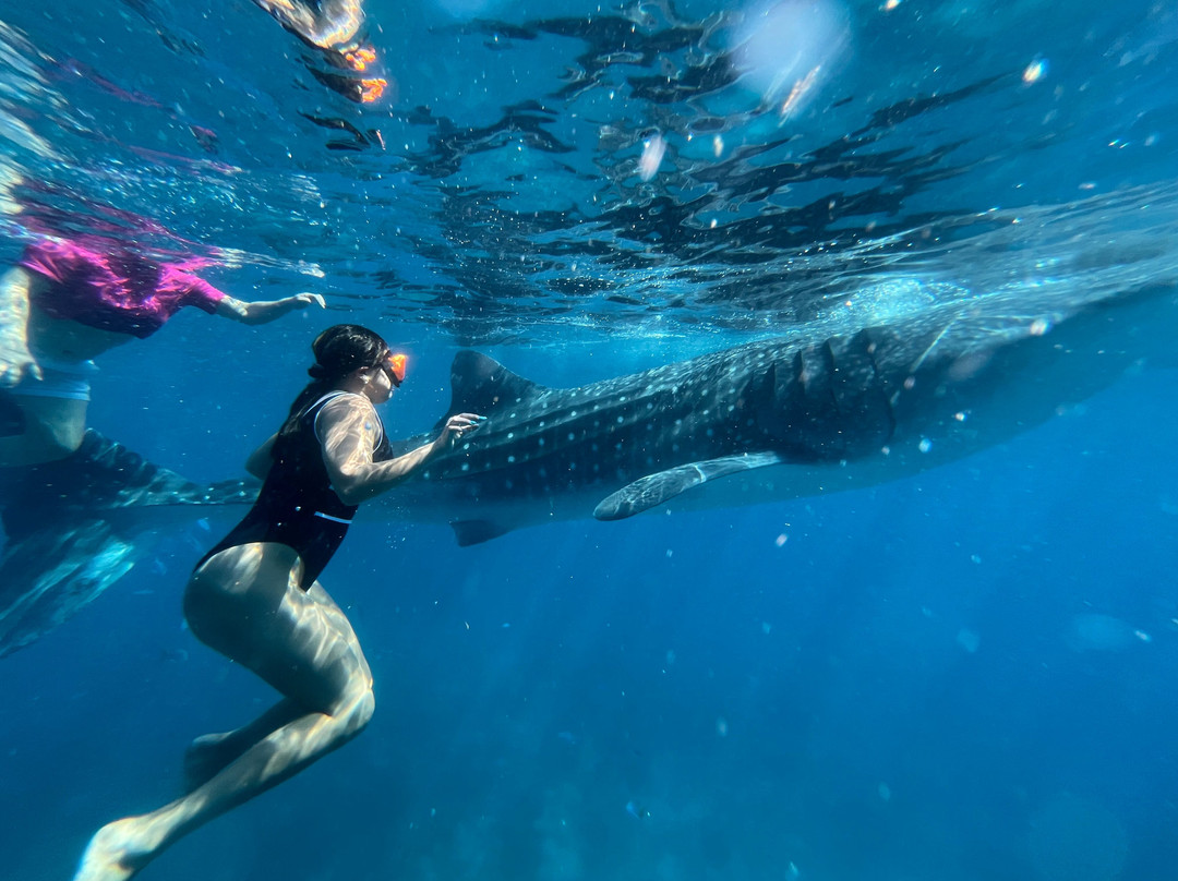 Island Trek Tours-奥斯洛布必去景点