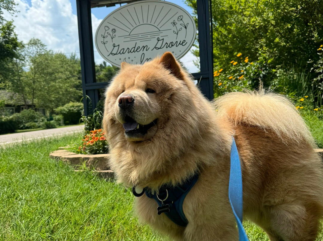 Garden Grove Inn: Bed & Breakfast主图