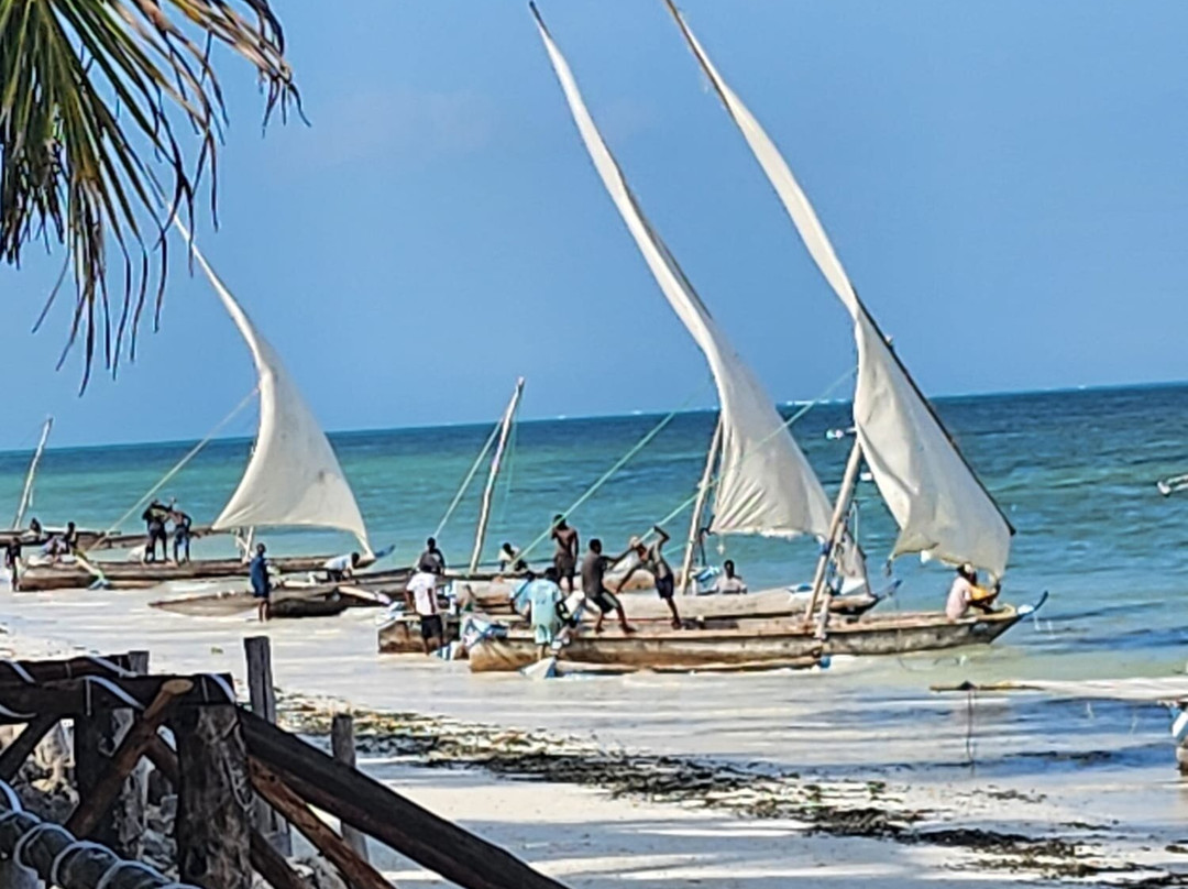 Lucky Kite-江比阿尼必去景点